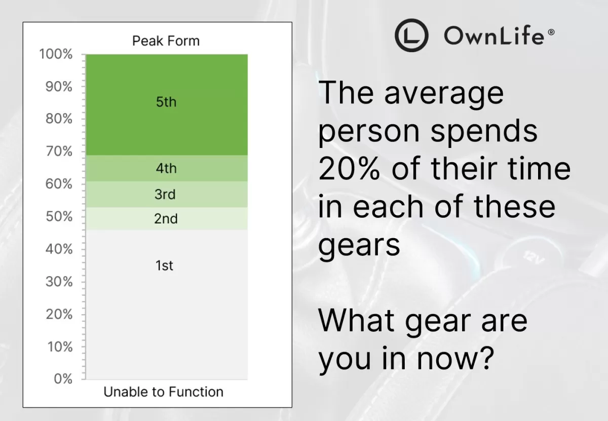 Gears