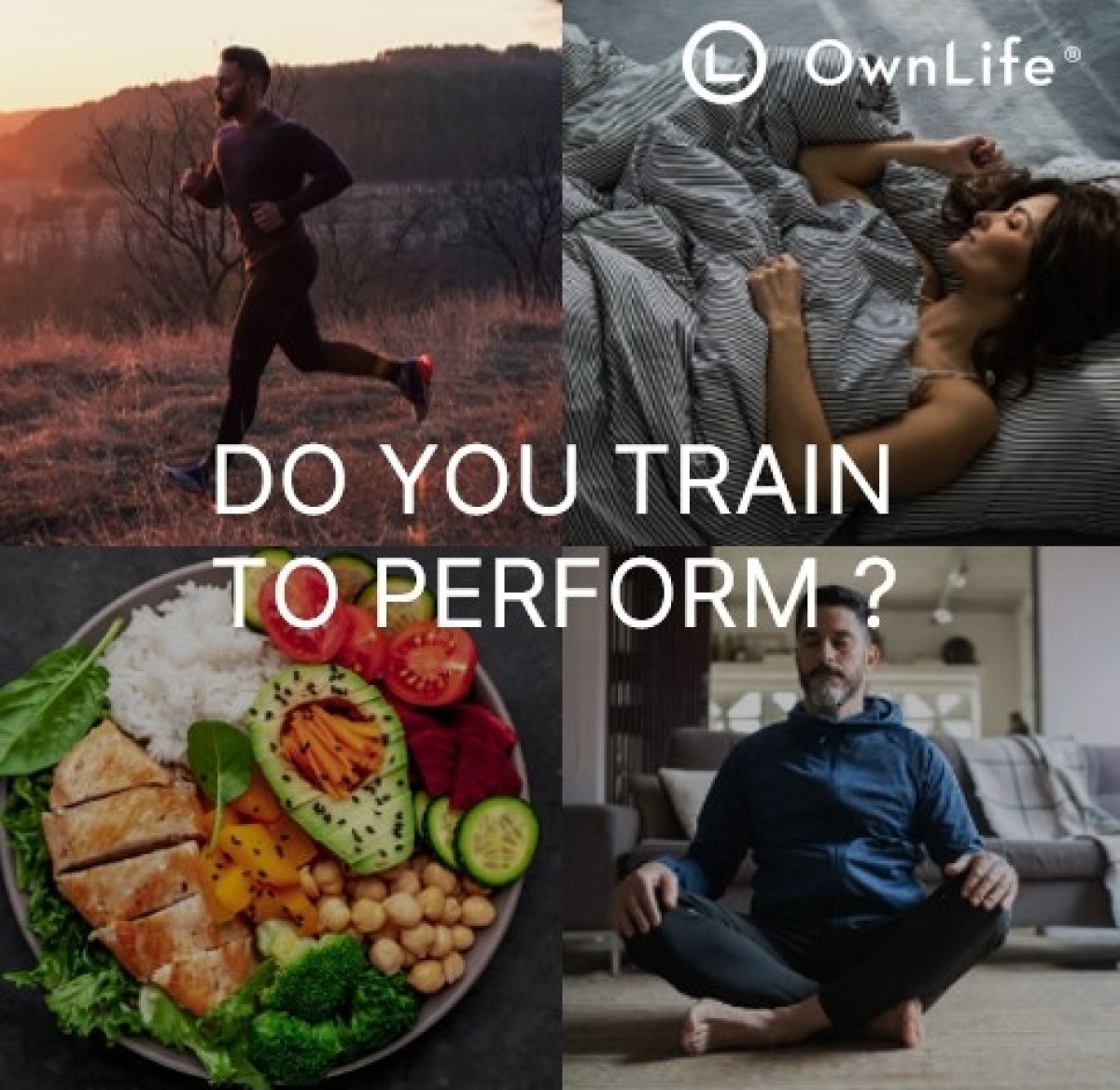 Do you train to perform